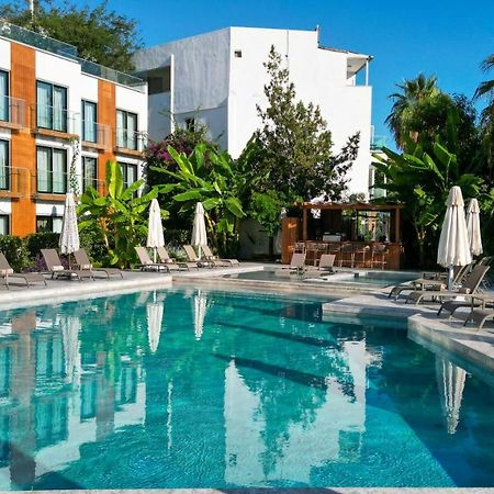 Bodrum Astrid Hotel 古穆斯卢克 外观 照片